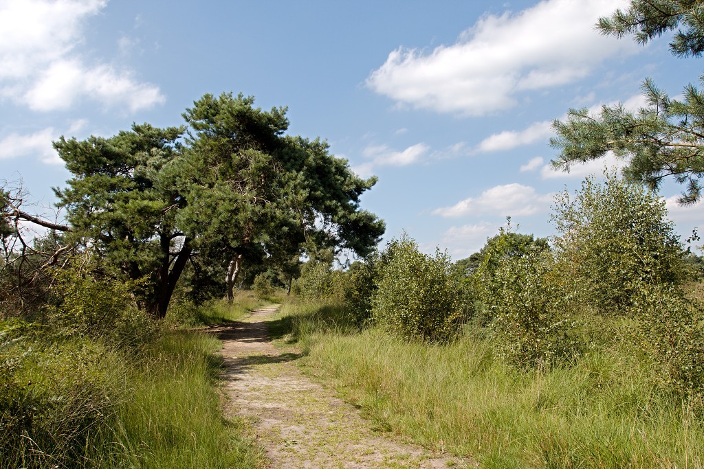 nationaal park de groote peel grote natuurgebied natuur hdr brabant limburg staatsbosbeheer turf veen heide hei bos bossen